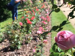 Fahrt nach La Ferté-Macé 2019