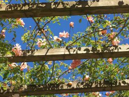 Fahrt nach La Ferté-Macé 2019